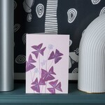 Stengun Drawings Stengun Greeting Card – Oxalis