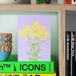 Stengun Drawings Carte Stengun - Ragwort