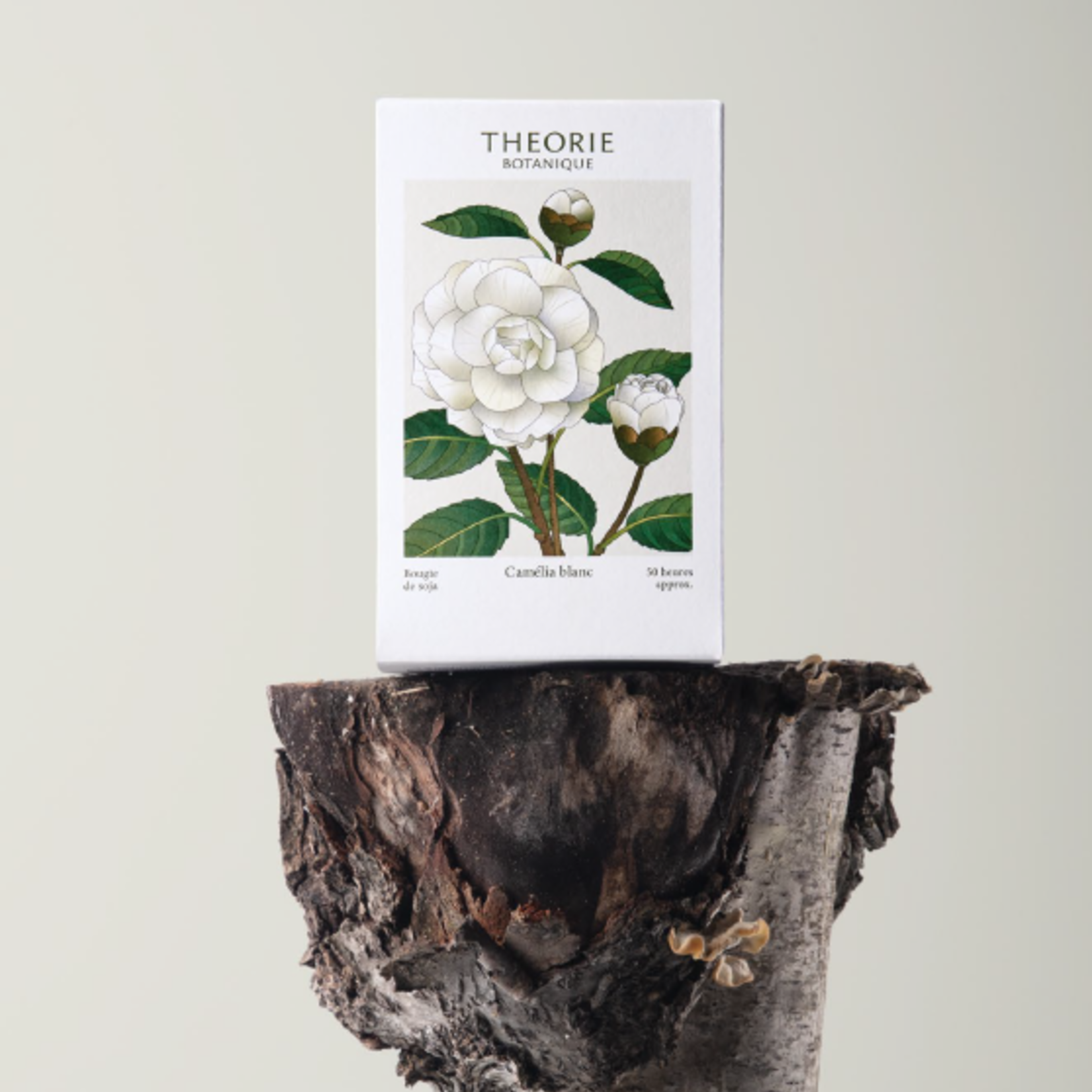 Théorie Botanique Bougie parfumée Théorie Botanique – 50 heures