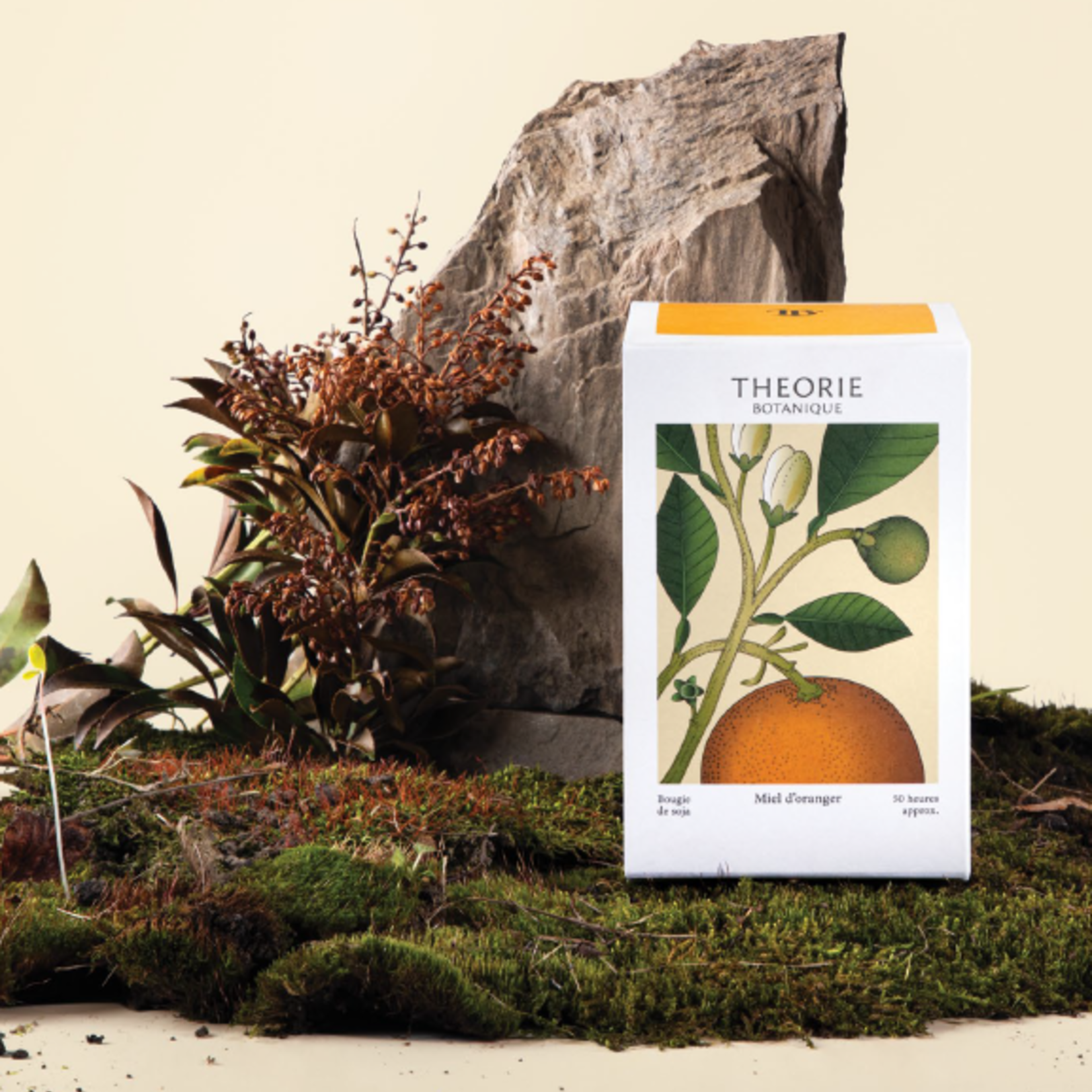 Théorie Botanique Bougie parfumée Théorie Botanique – 50 heures