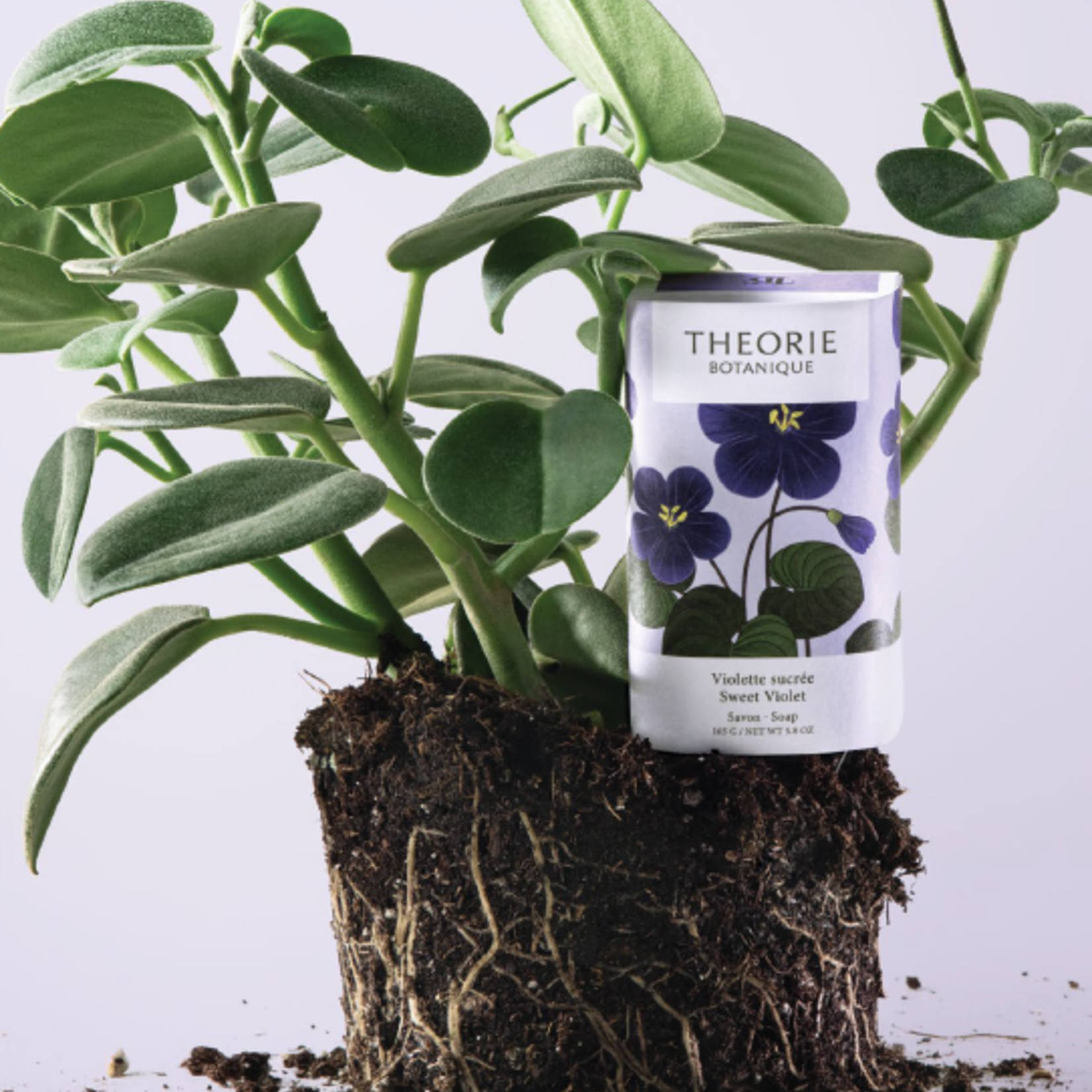 Théorie Botanique Savon 165gr. Théorie Botanique