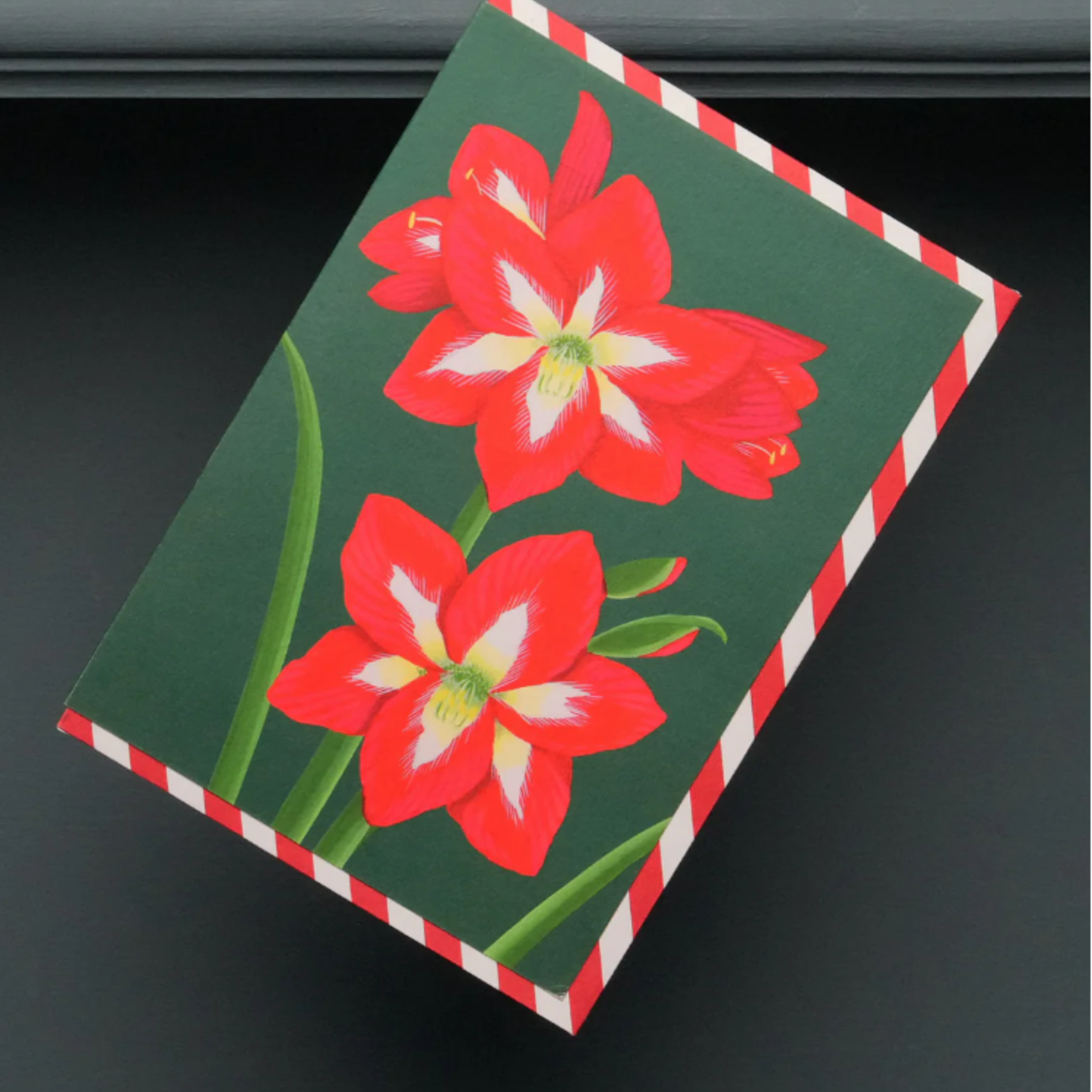 Christmas Amaryllis Greeting Card – Stengun