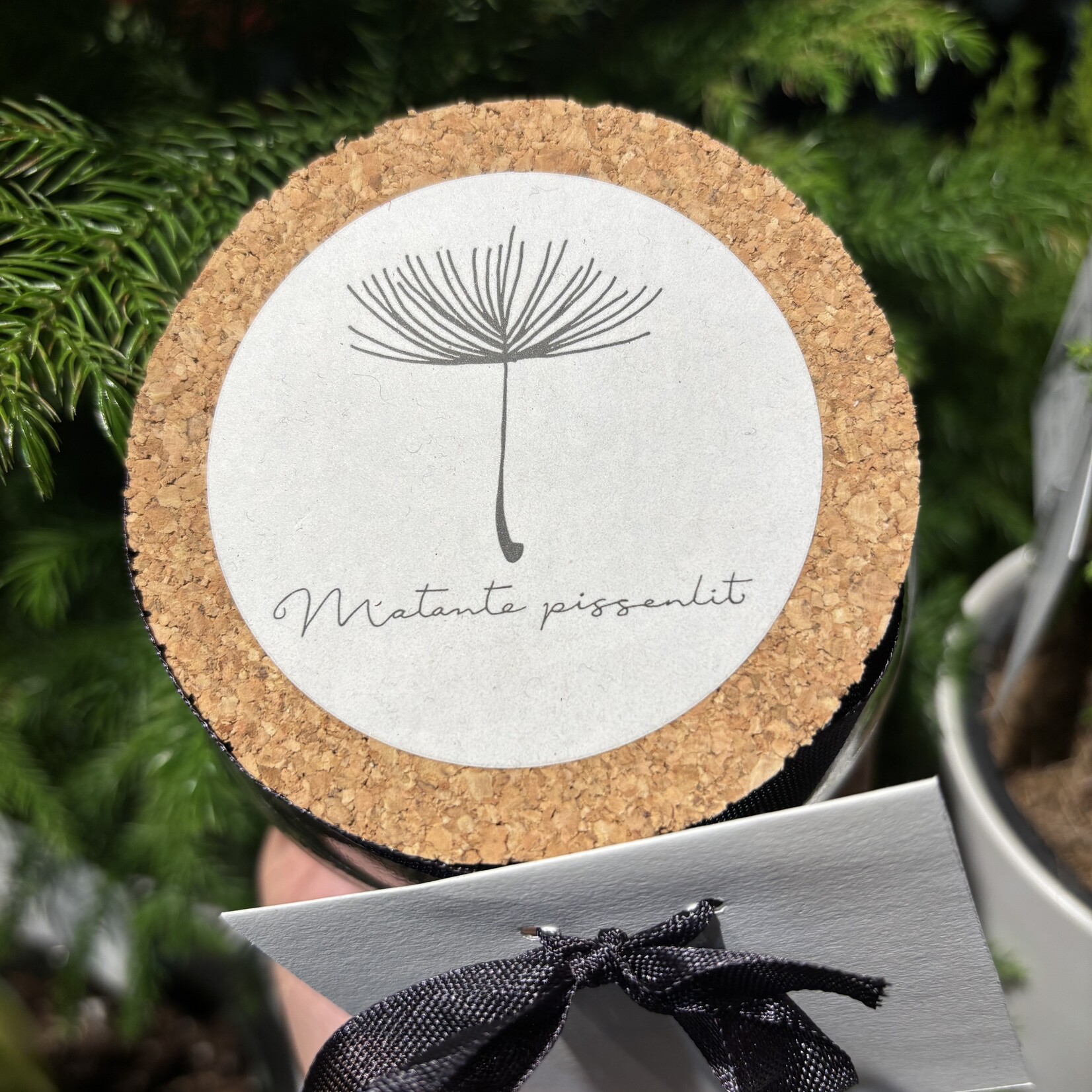 Pot pourri - Matante Pissenlit