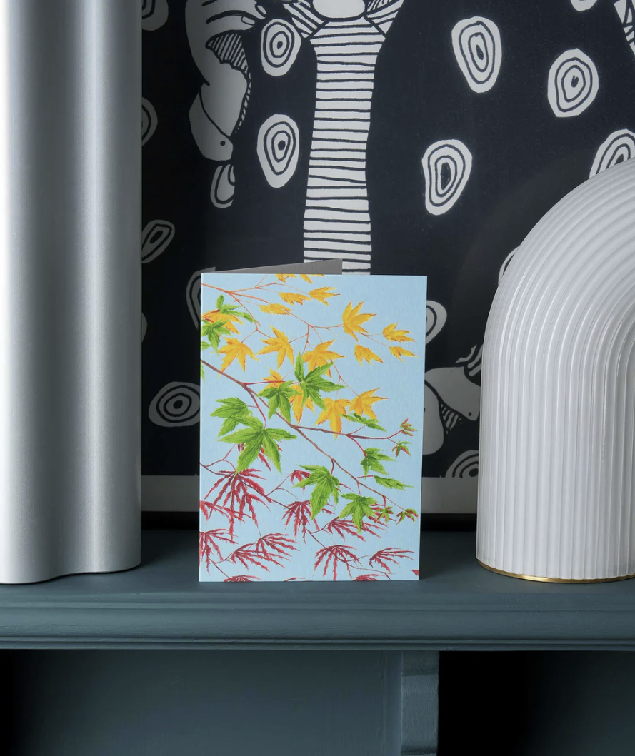Carte Stengun – Kyoto Garden Acers