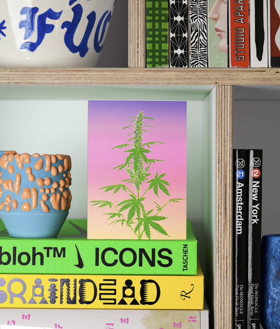 Carte Stengun – Cannabis
