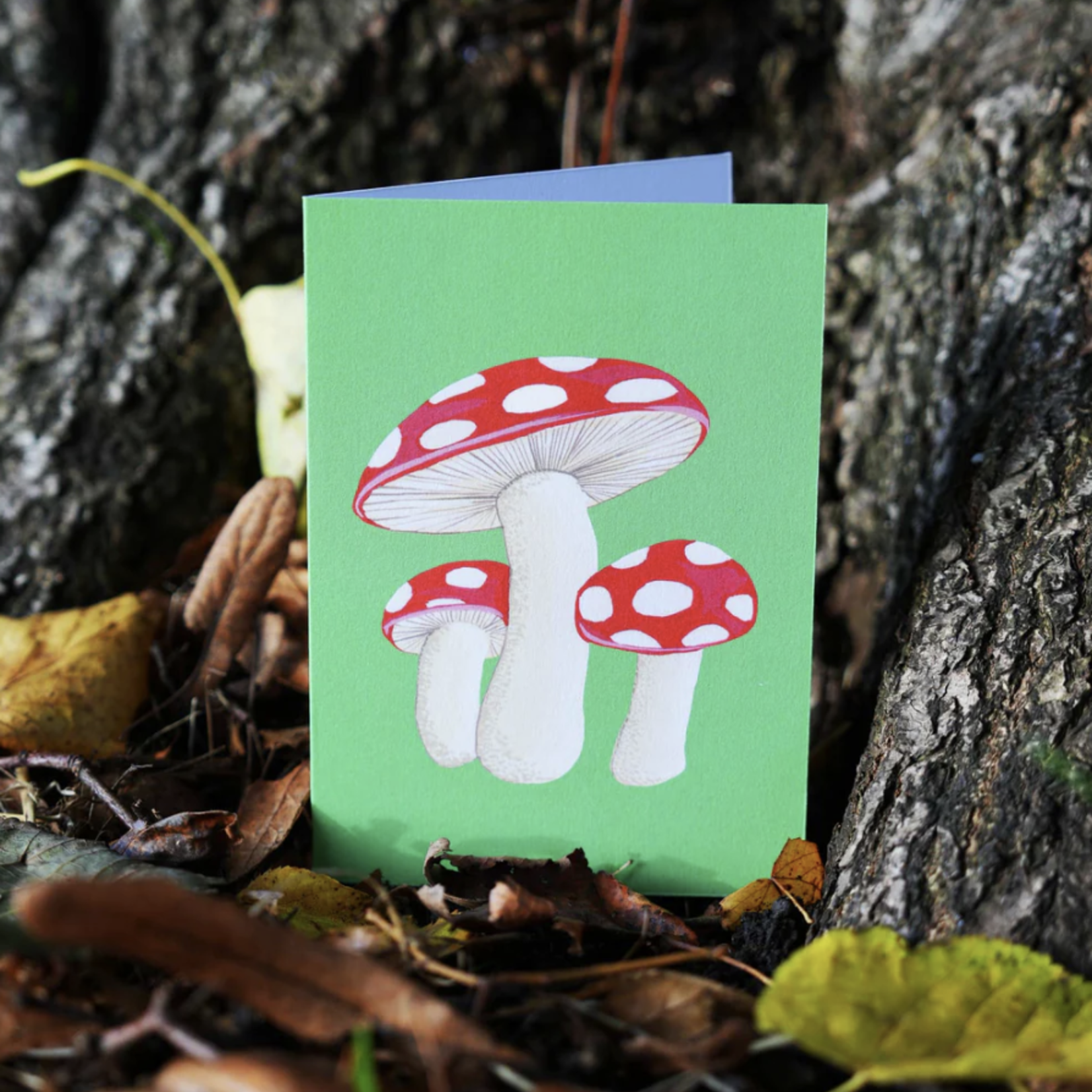 Carte Stengun - Fly agaric
