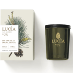 Lucia - Les saisons - Pin douglas - Chandelle 55hrs