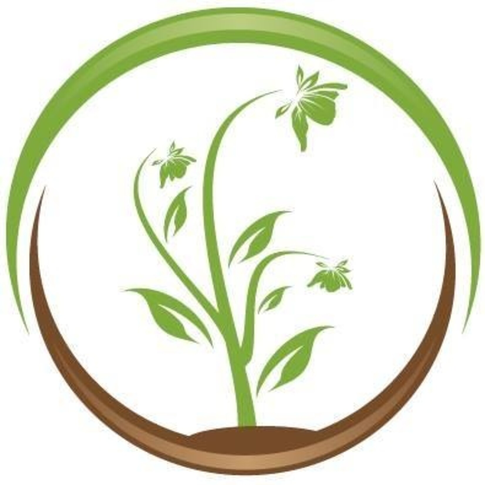 Terre Promise - semences