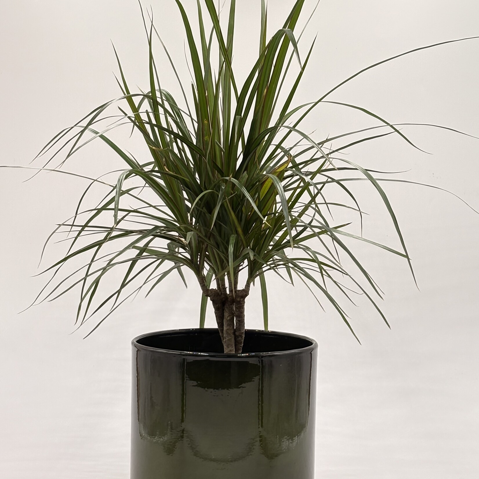 Pot cylindre Upcycle en métal recyclé – 8, 10,5 et 12''