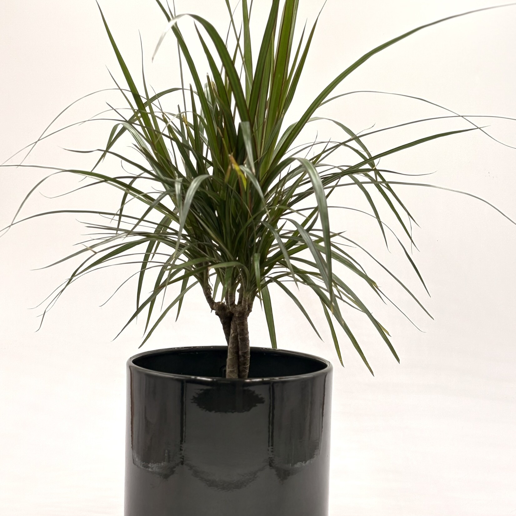 Pot cylindre Upcycle en métal recyclé – 8, 10,5 et 12''