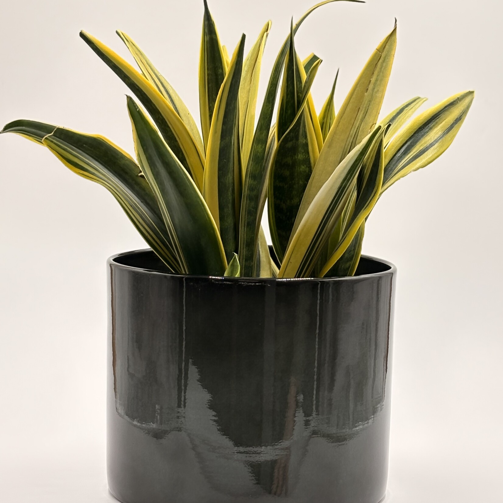 Pot cylindre Upcycle en métal recyclé – 8, 10,5 et 12''