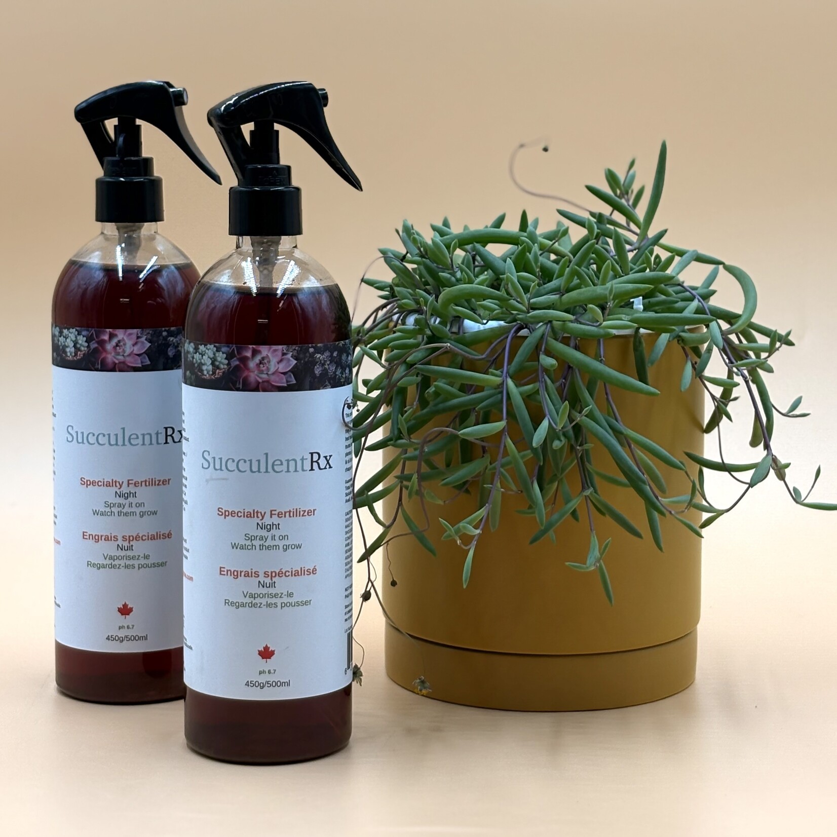 Engrais RX 500ML