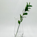 Paragon Glass Vase