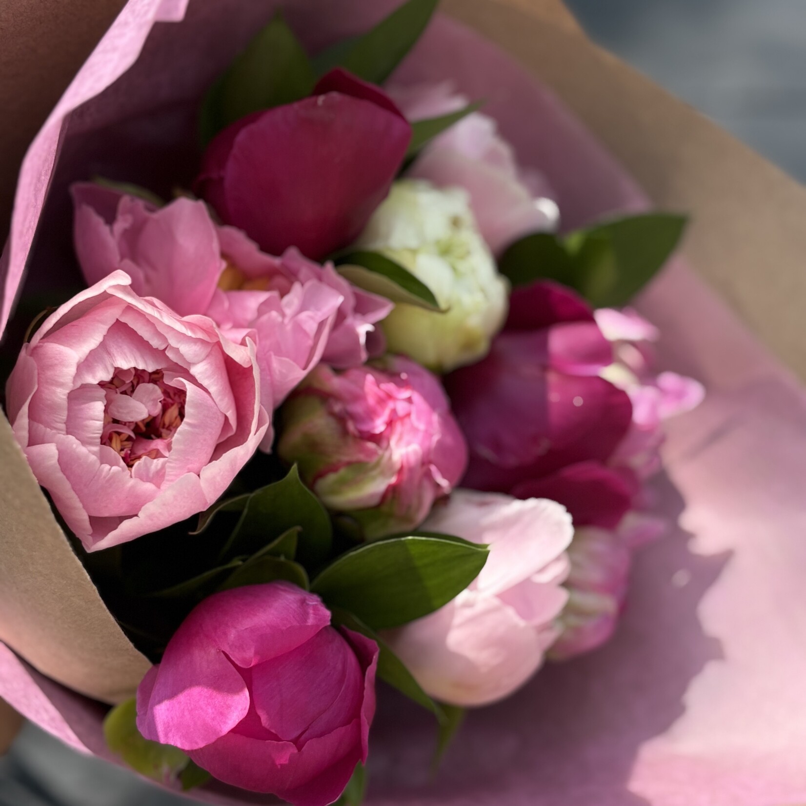 Pivoines locales