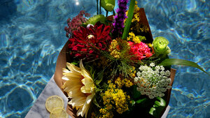 Profitez pleinement des fleurs d’été locales Profitez pleinement des fleurs d’été locales