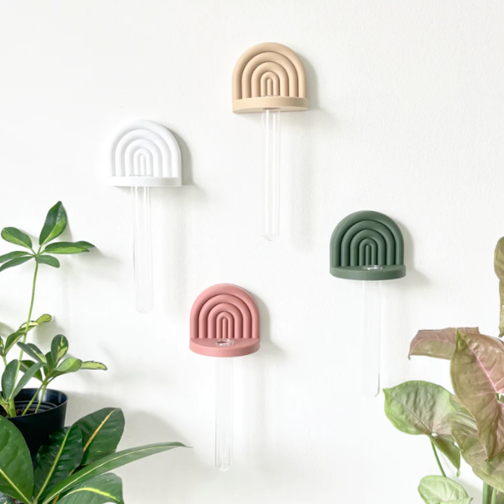 Sonnihaus Mini station de propagation Arc