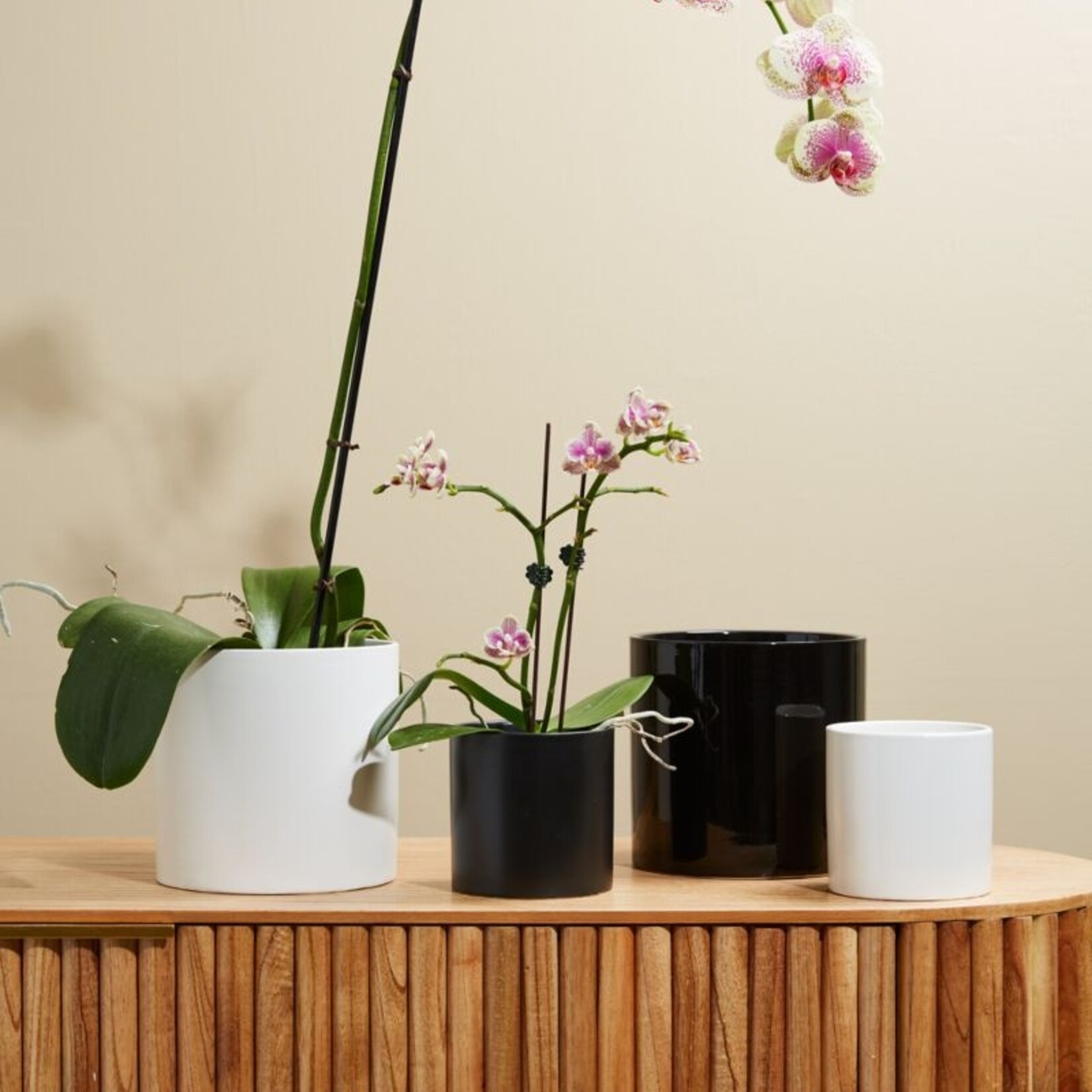 Cache-pot en céramique cercle