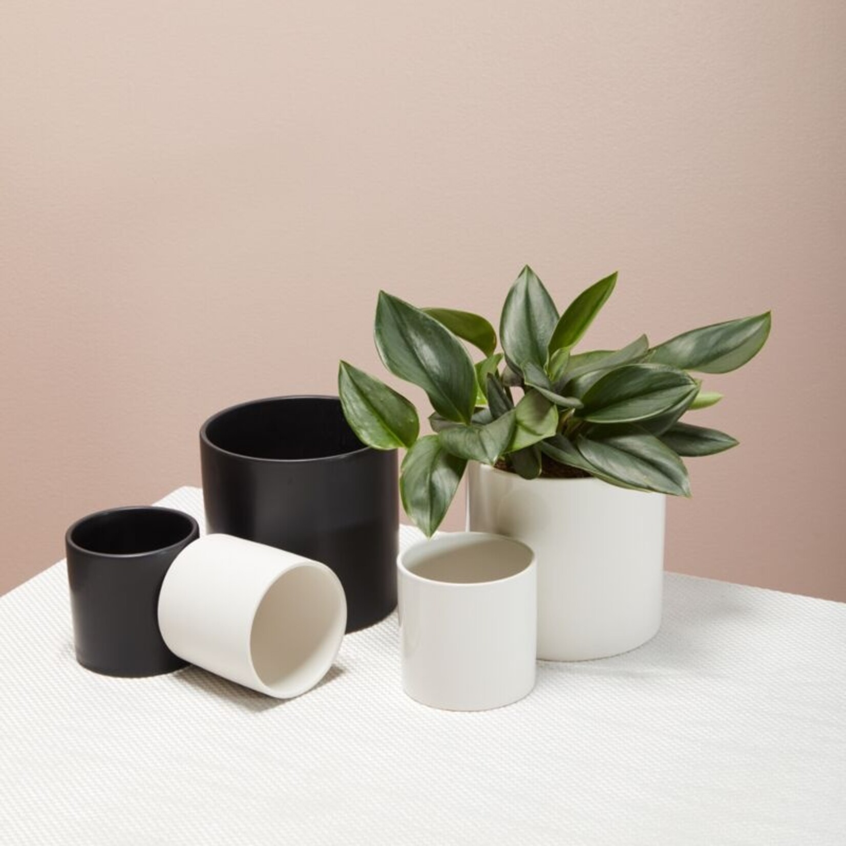 Cache-pot en céramique cercle