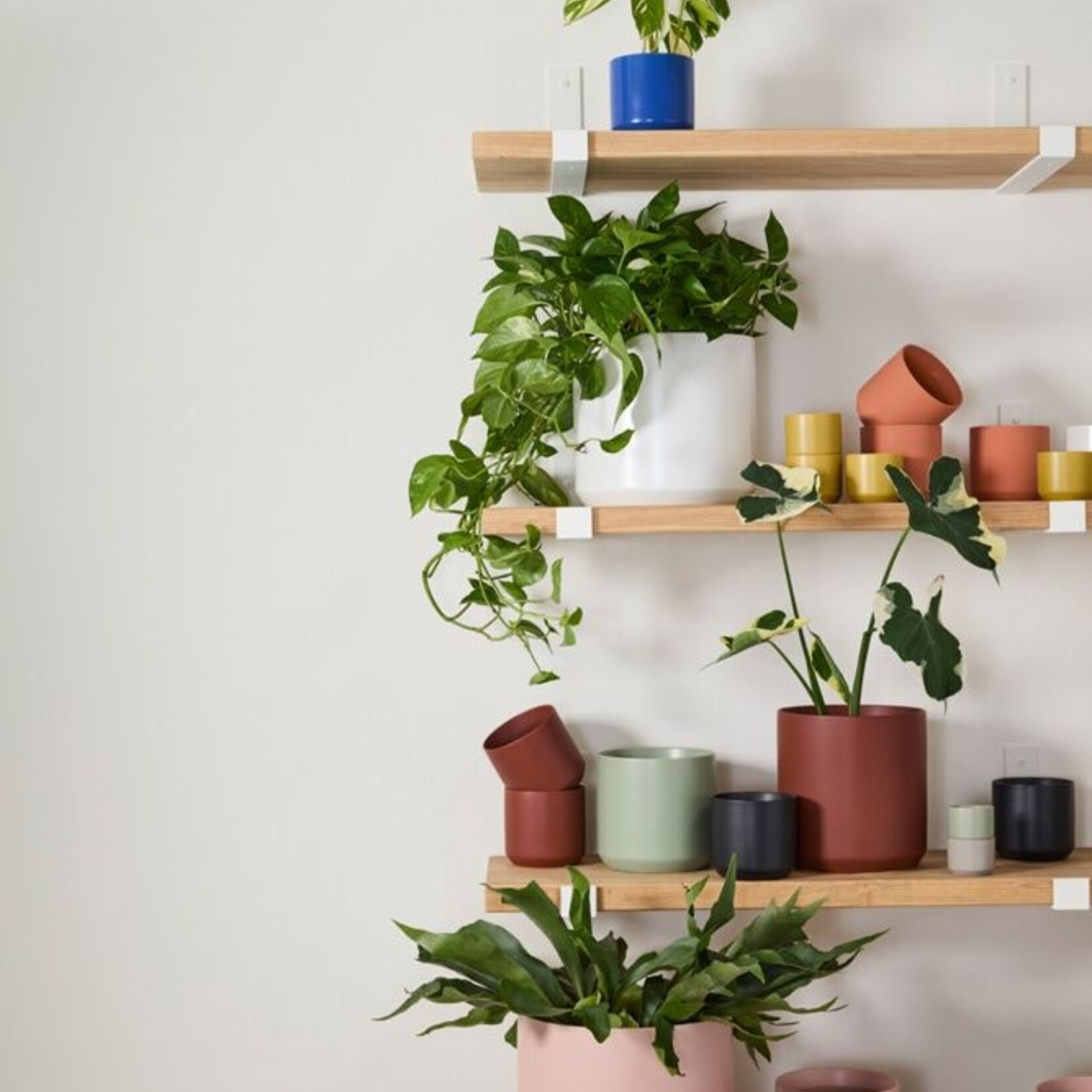 Cache-pot Kendall en céramique