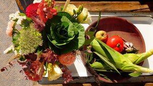 L’automne chez Lavigne : célébrations et inspirations pour l’Action de Grâce L’automne chez Lavigne : célébrations et inspirations pour l’Action de Grâce
