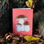 Carte Stengun - Porcini