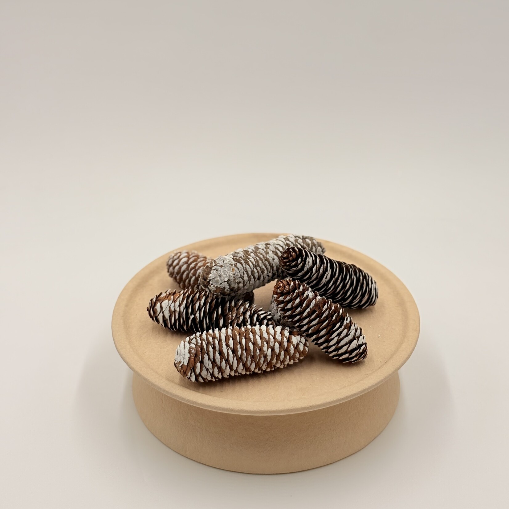 Pommes de pin naturelles givré 7/sac