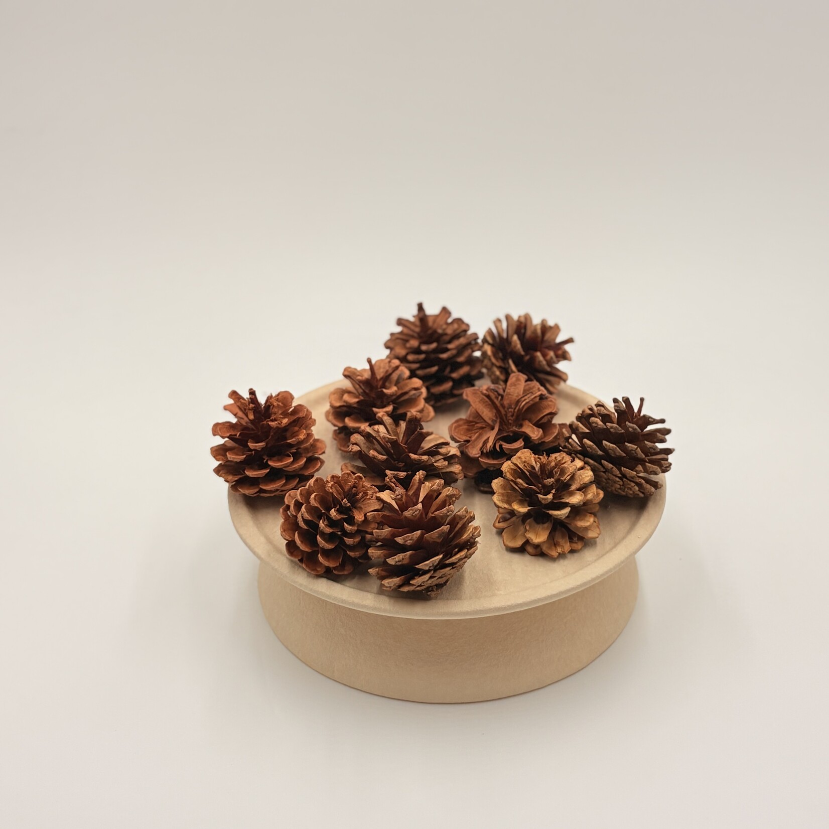 Pommes de pin naturelles givré 10/sac
