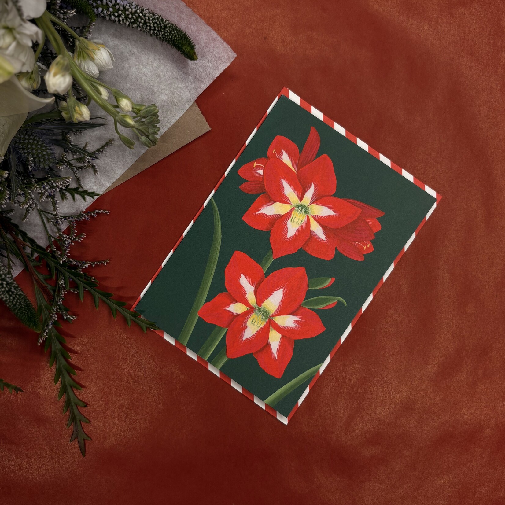 Carte Stengun - Christmas Amaryllis