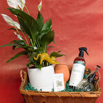 Ensemble cadeaux - Temps des fêtes - Jardin