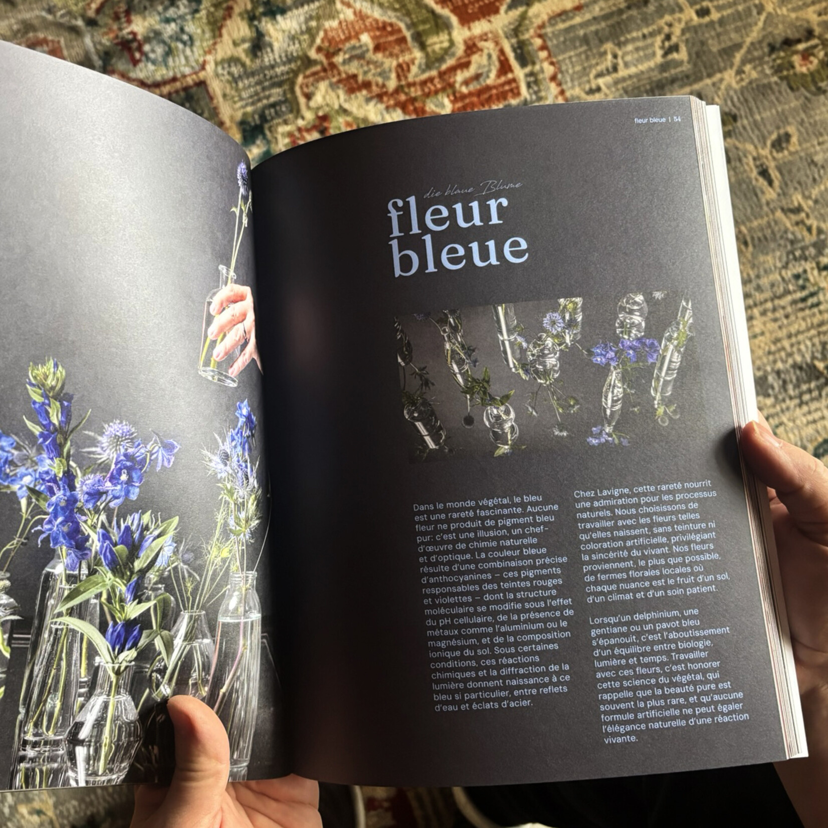 1.Livre Lavigne - Douze mois, Mille récoltes