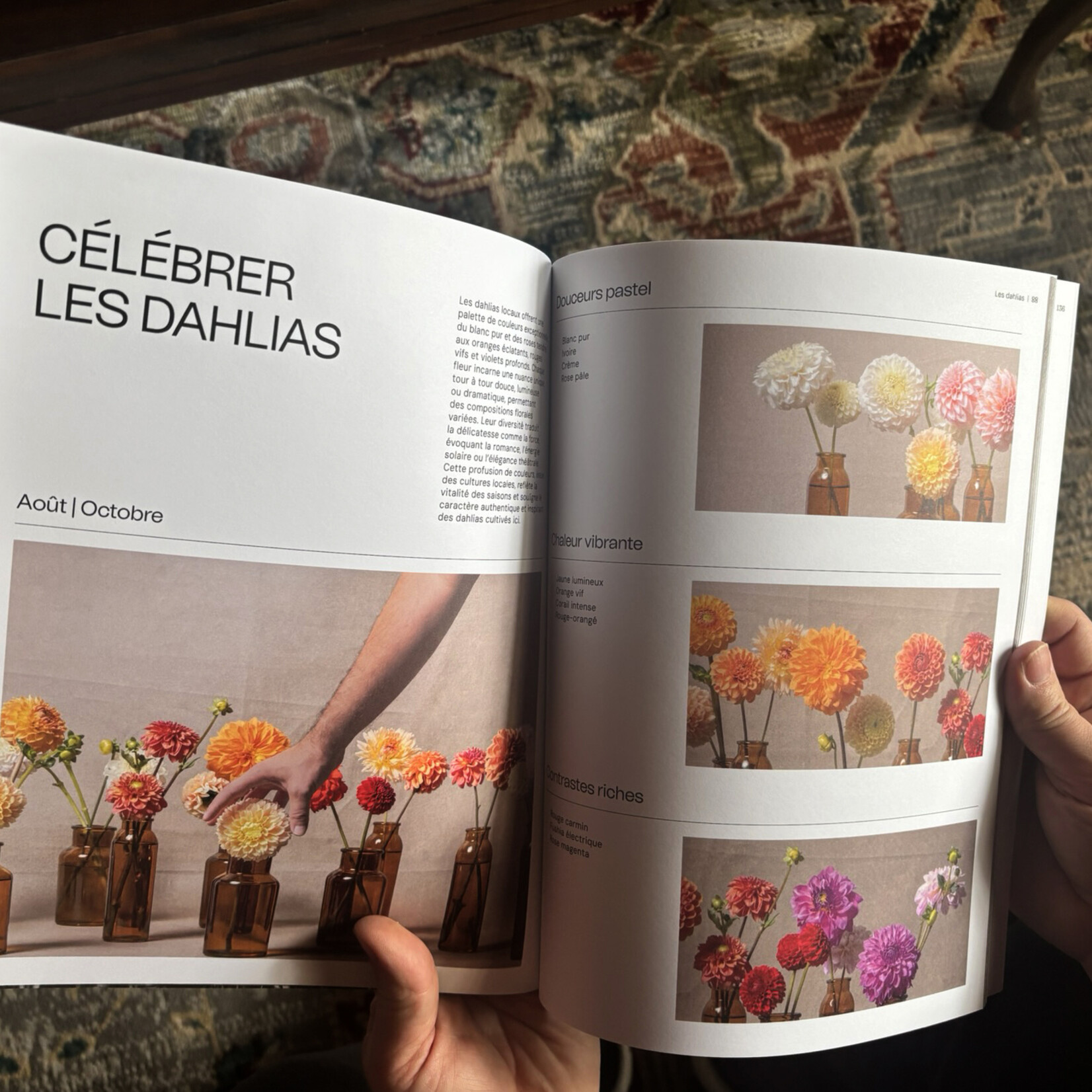 1.Livre Lavigne - Douze mois, Mille récoltes