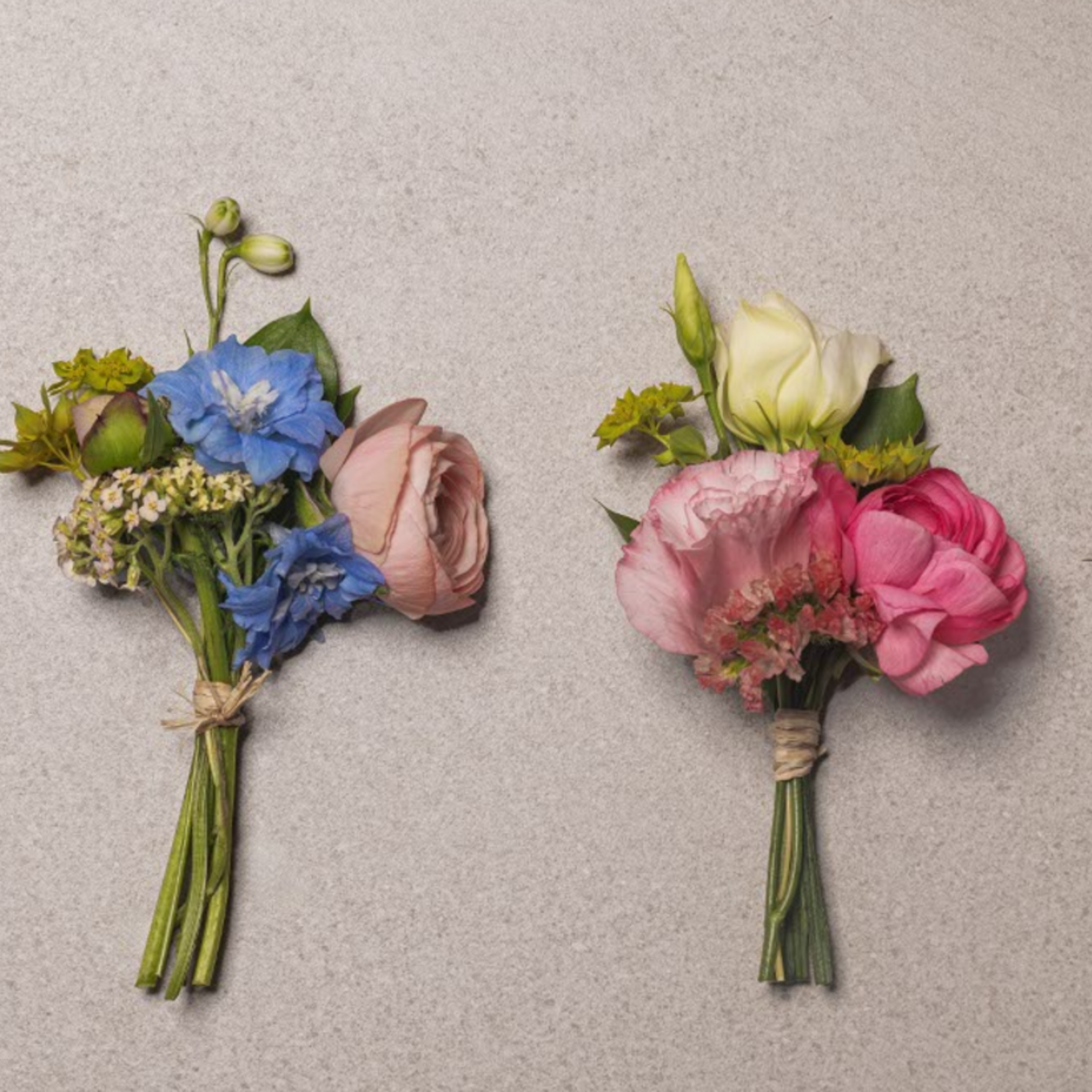 Éclat botanique Floral Collection