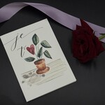 1. Ariane | 03 - Stéphanie Renière