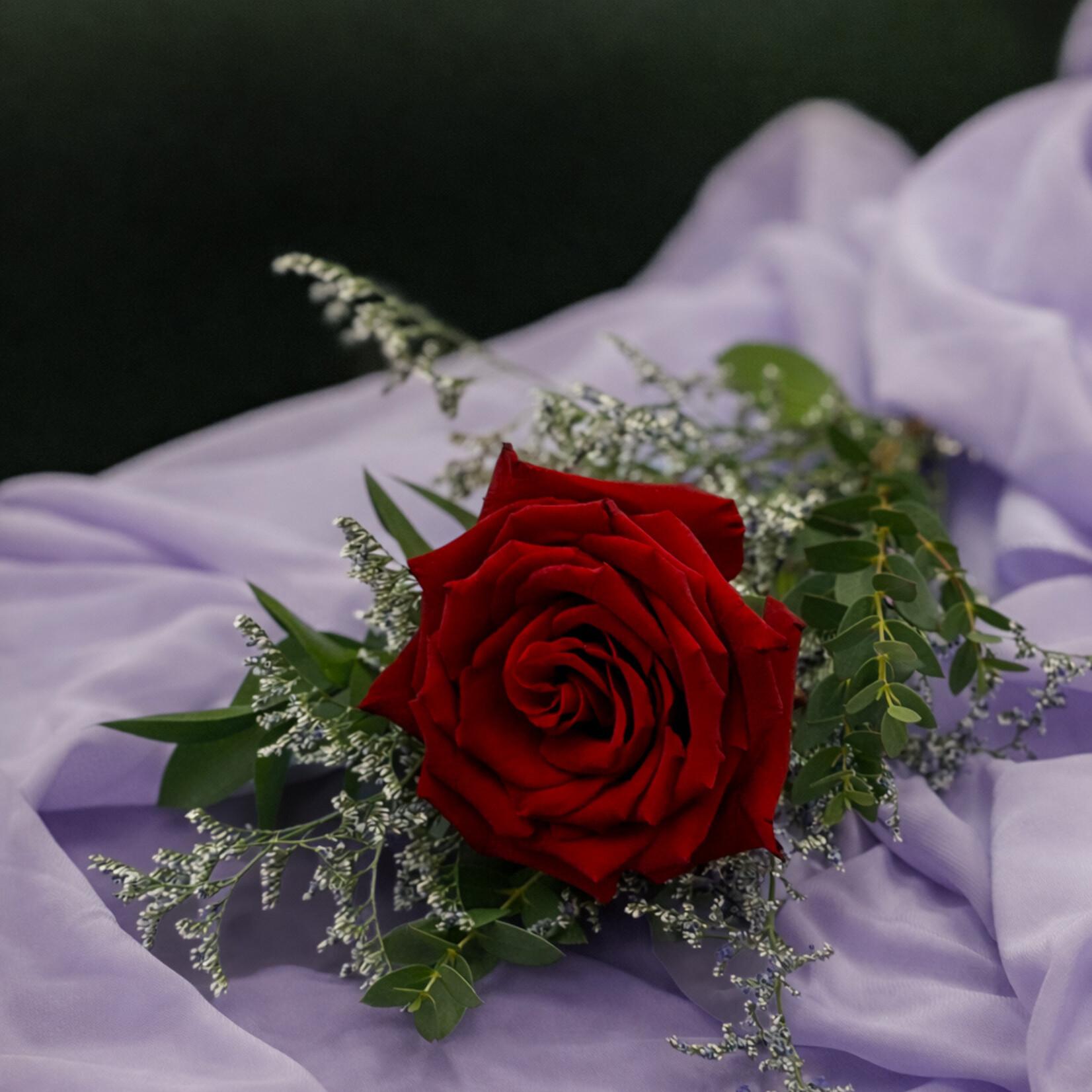 Sainte-Catherine Bouquet