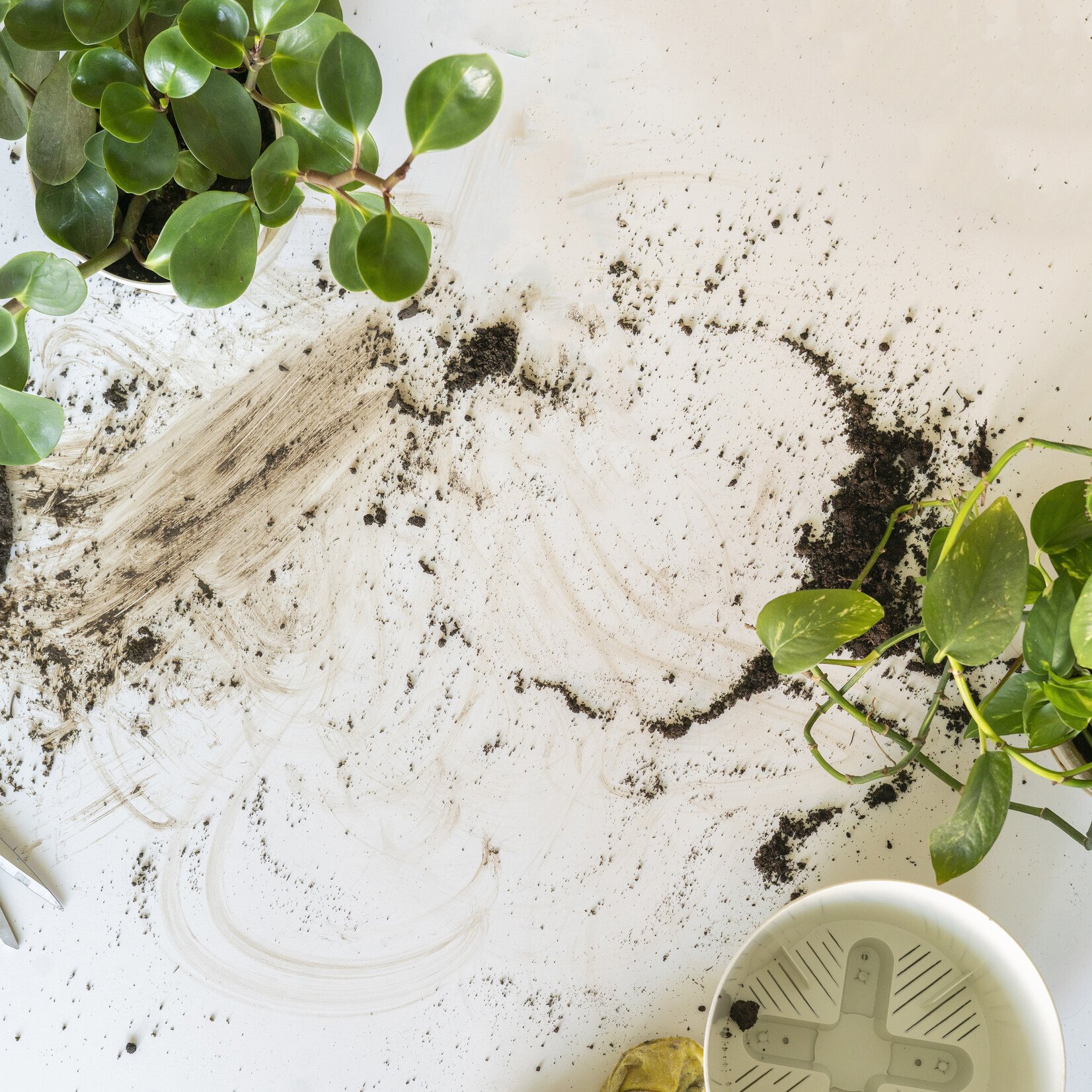 Atelier introduction à l'horticulture - 22 avril 2026 - 18h30