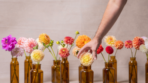 Pourquoi choisir des fleurs locales au Québec ?