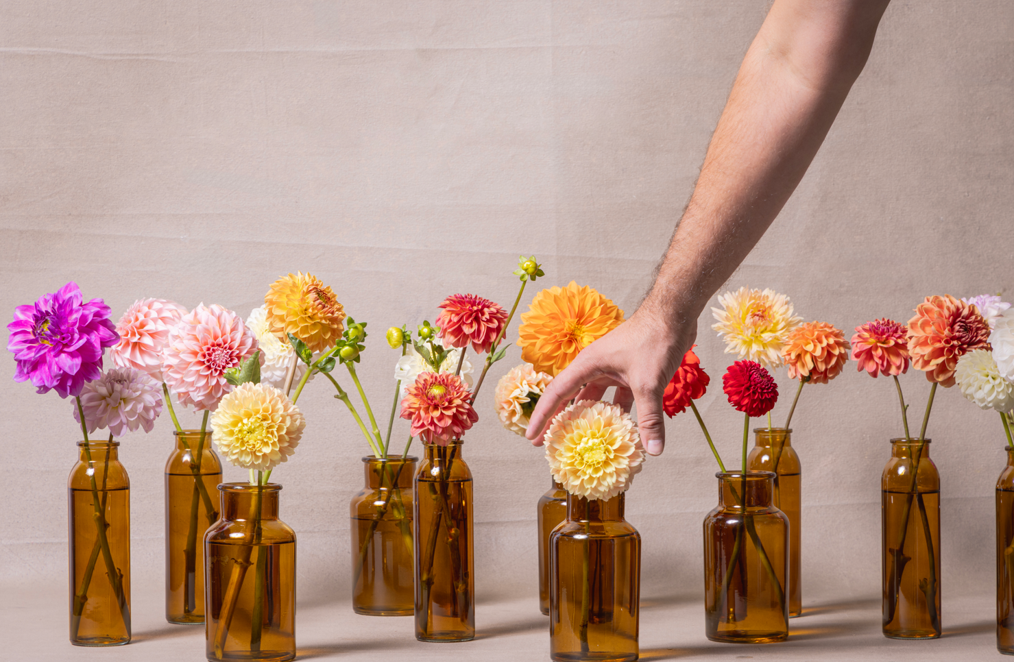 Pourquoi choisir des fleurs locales au Québec ?