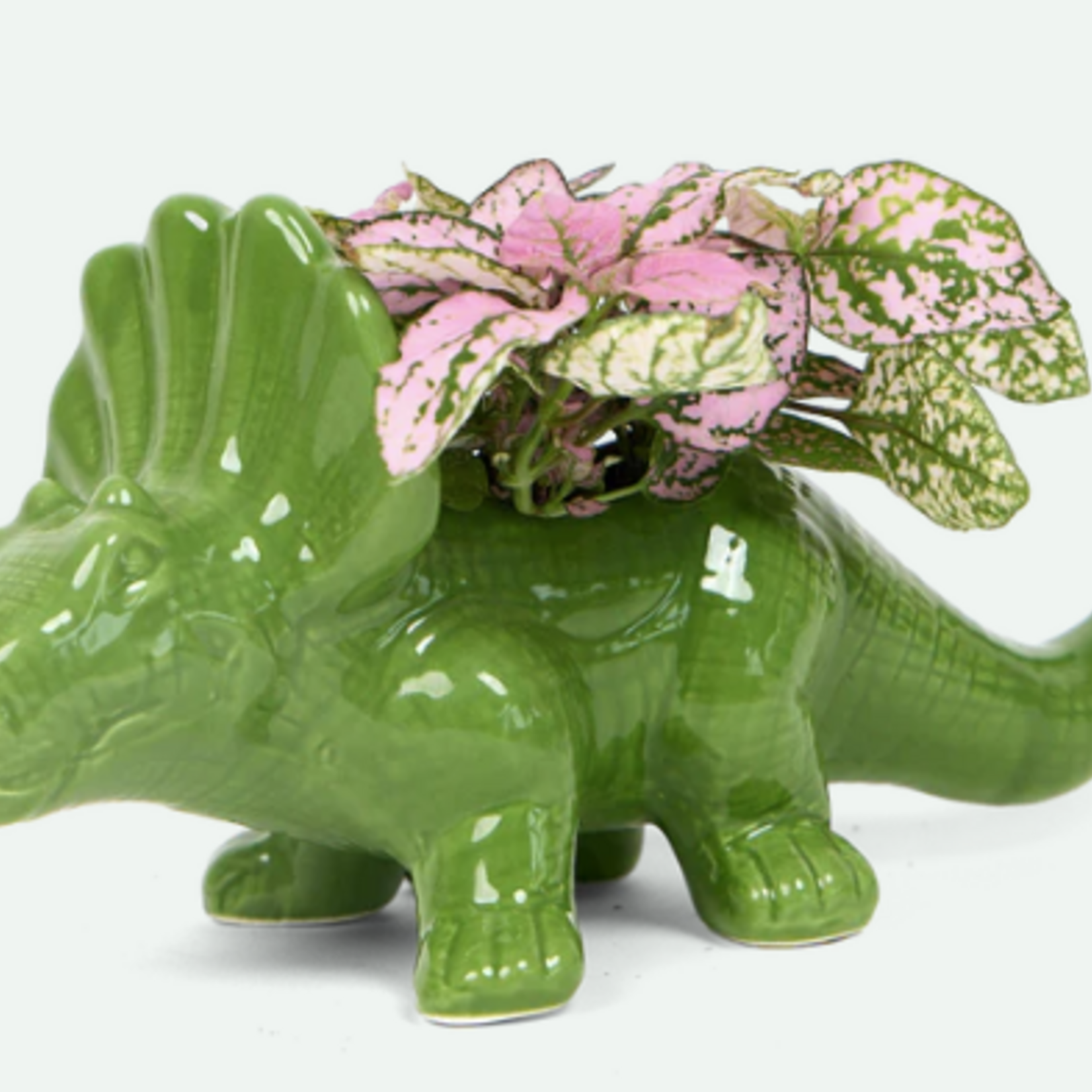 CHIVE Cache-Pot Dinosaure