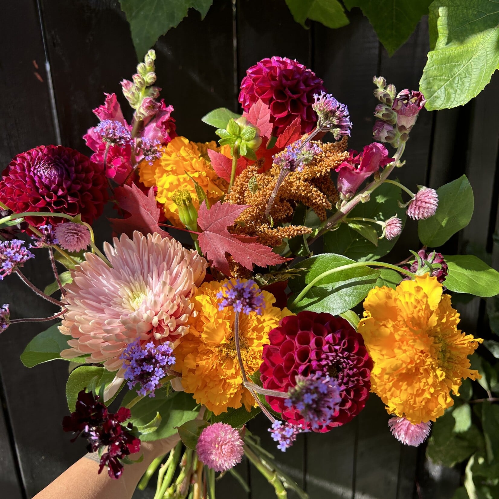 Abonnement fleurs locales (été 2026)