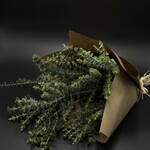 Bouquet d'Eucalyptus