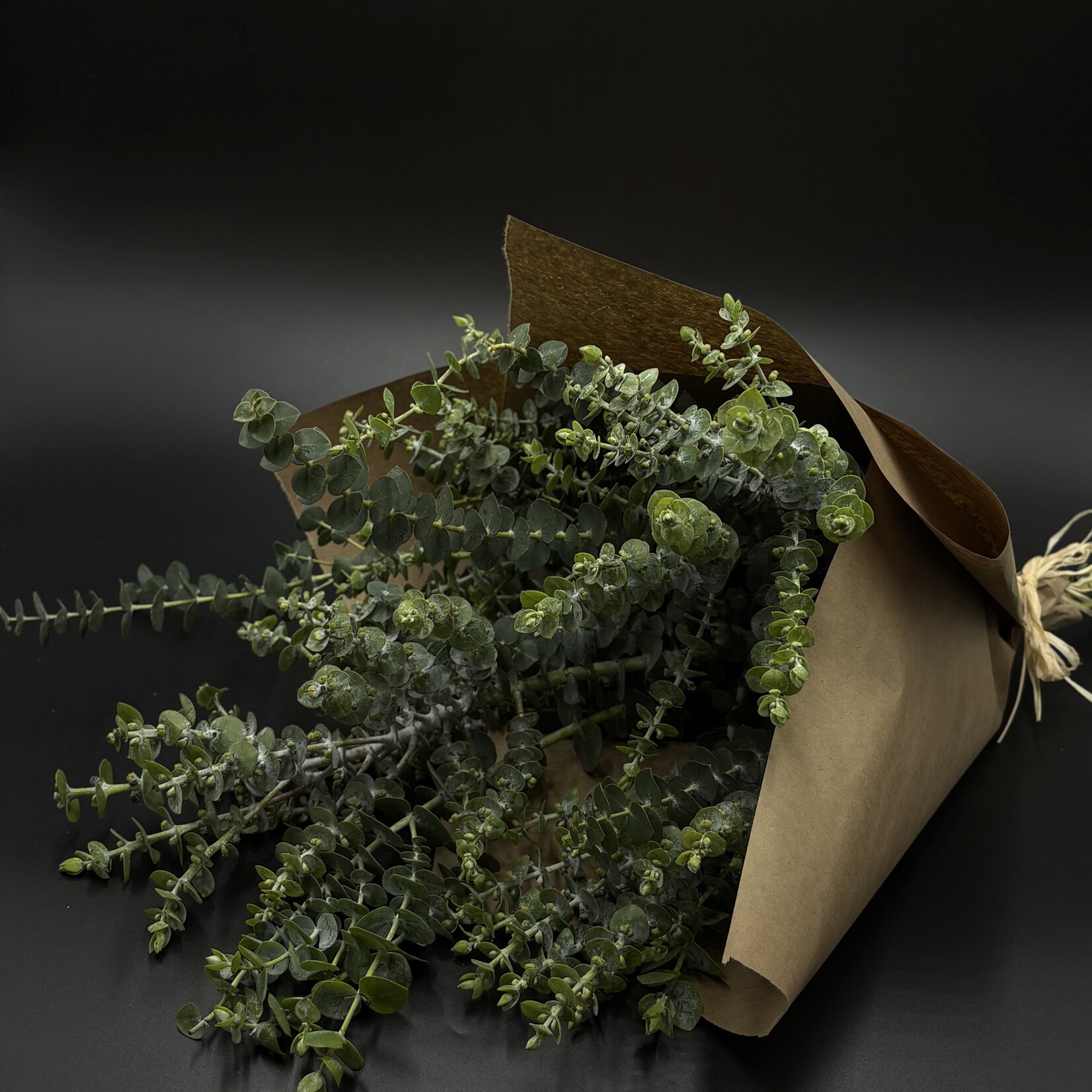 Bouquet d'Eucalyptus