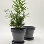 Vaserie PLP Pot Rubi