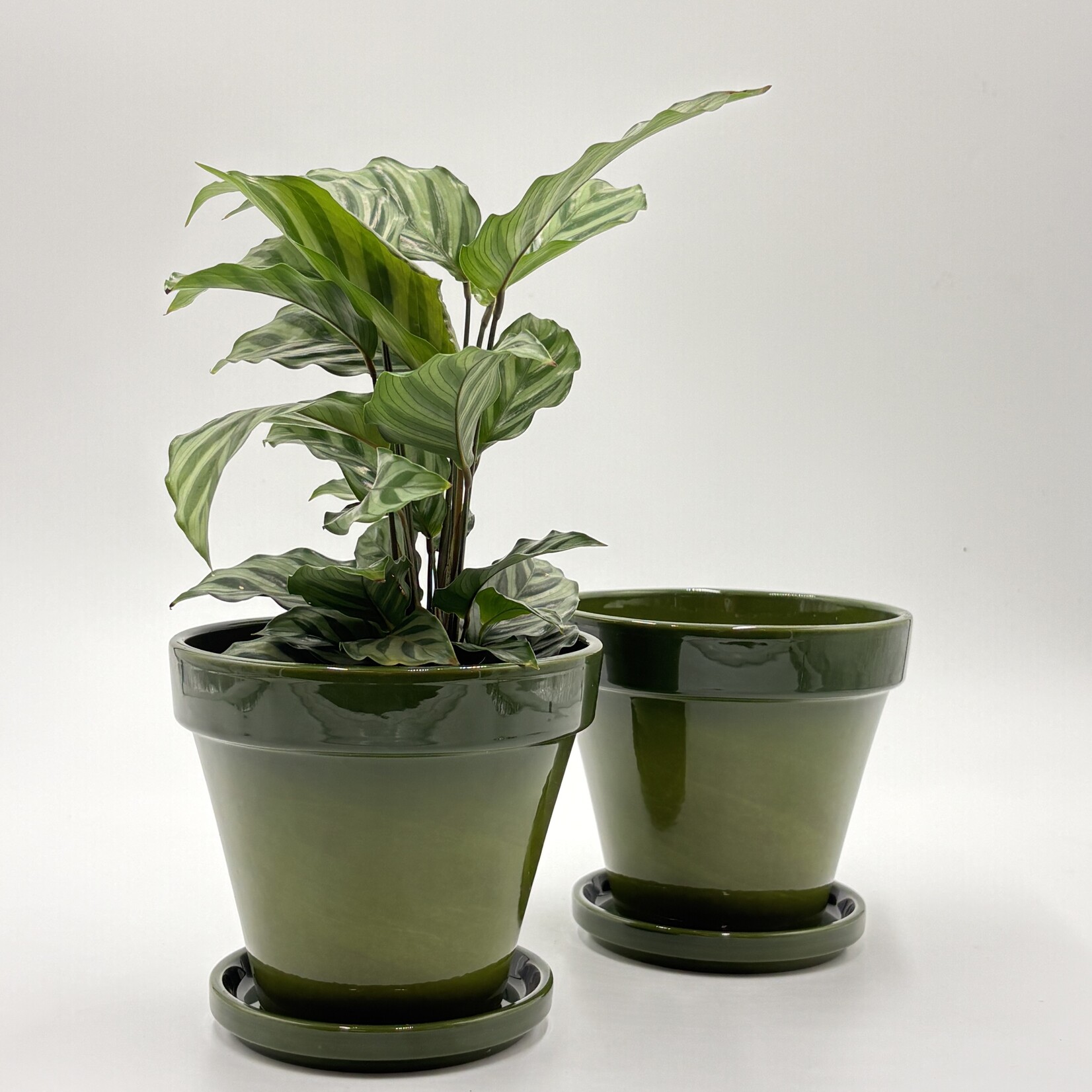 Vaserie PLP Pot Rubi