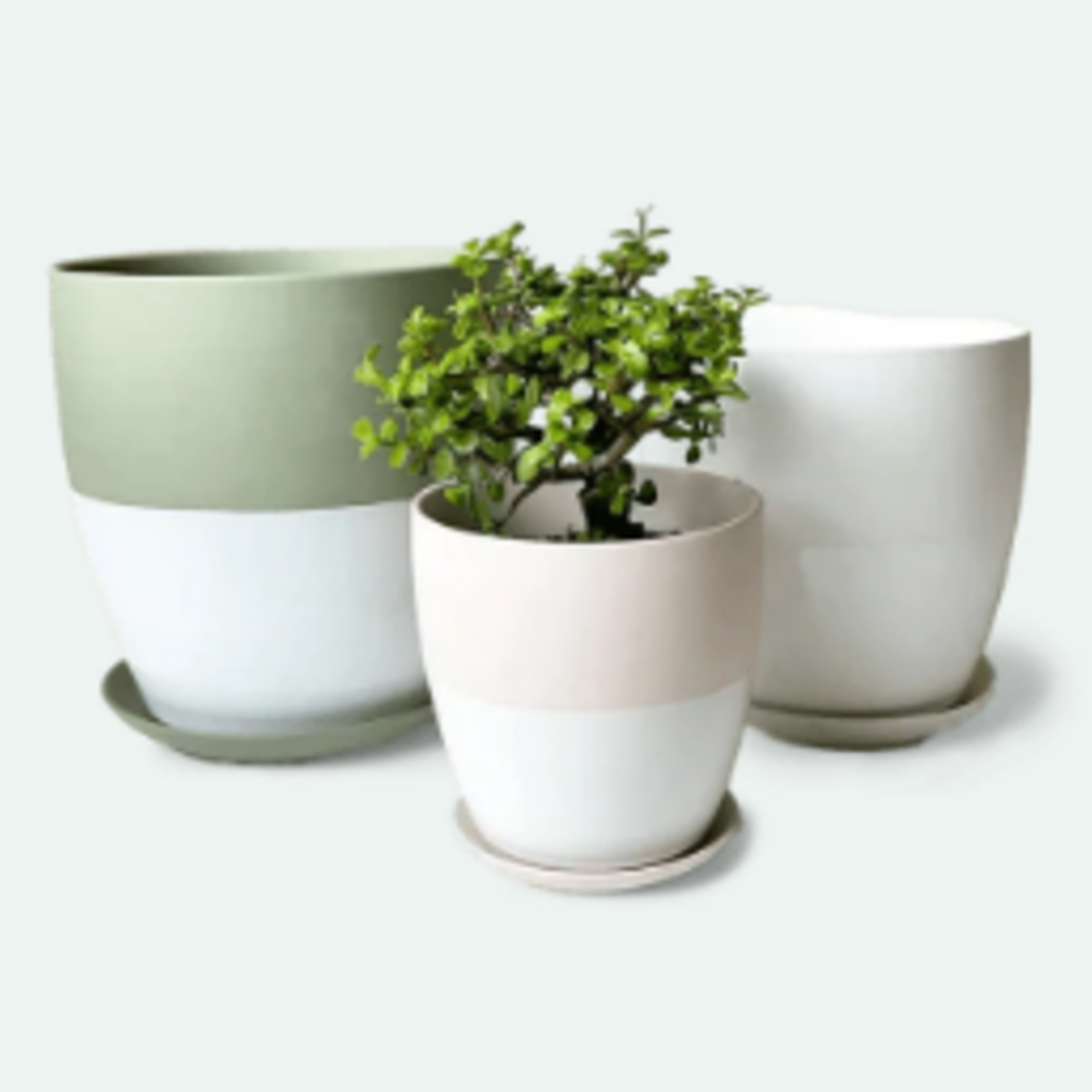 Pot avec assiette Dyad