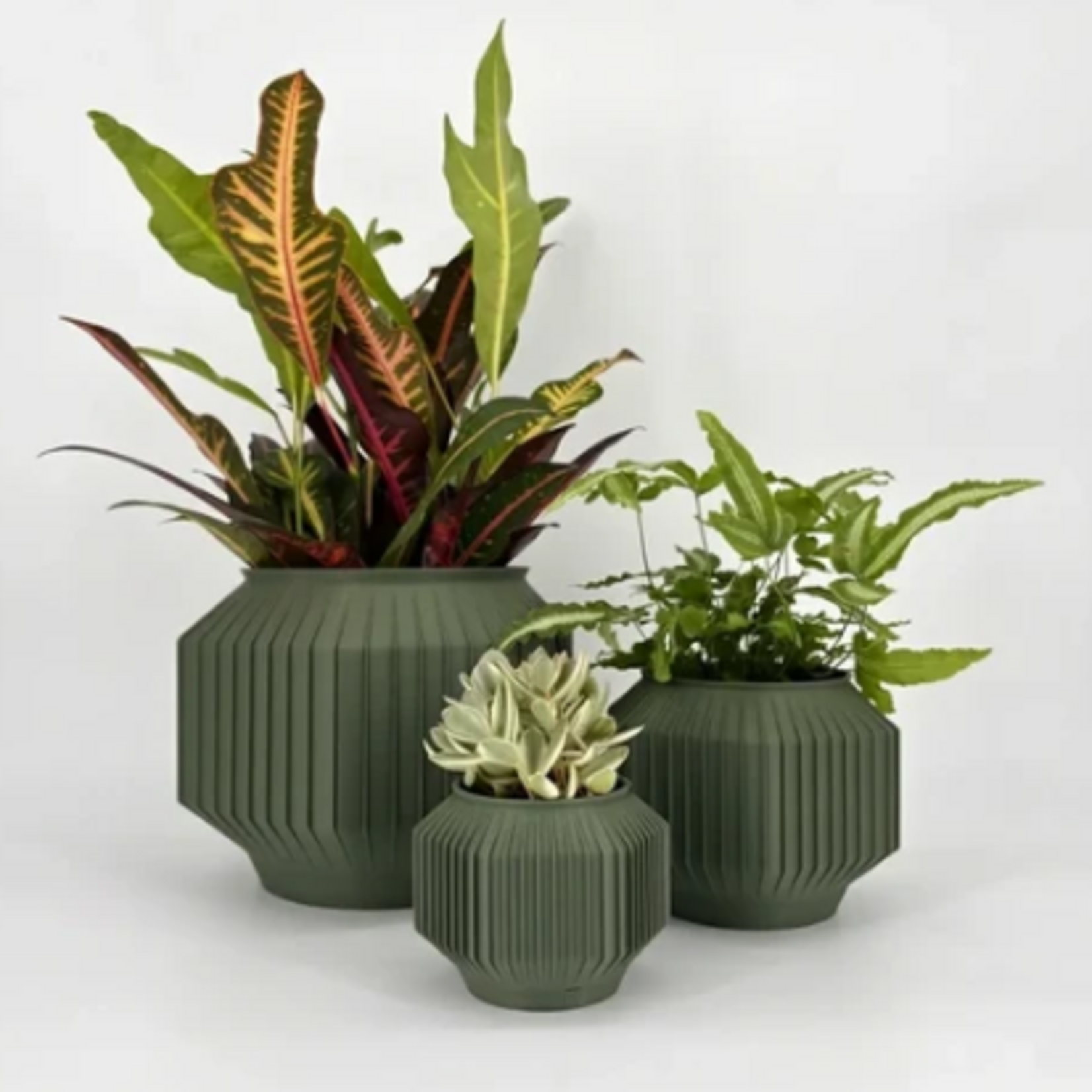 Sonnihaus – Pot Jeju