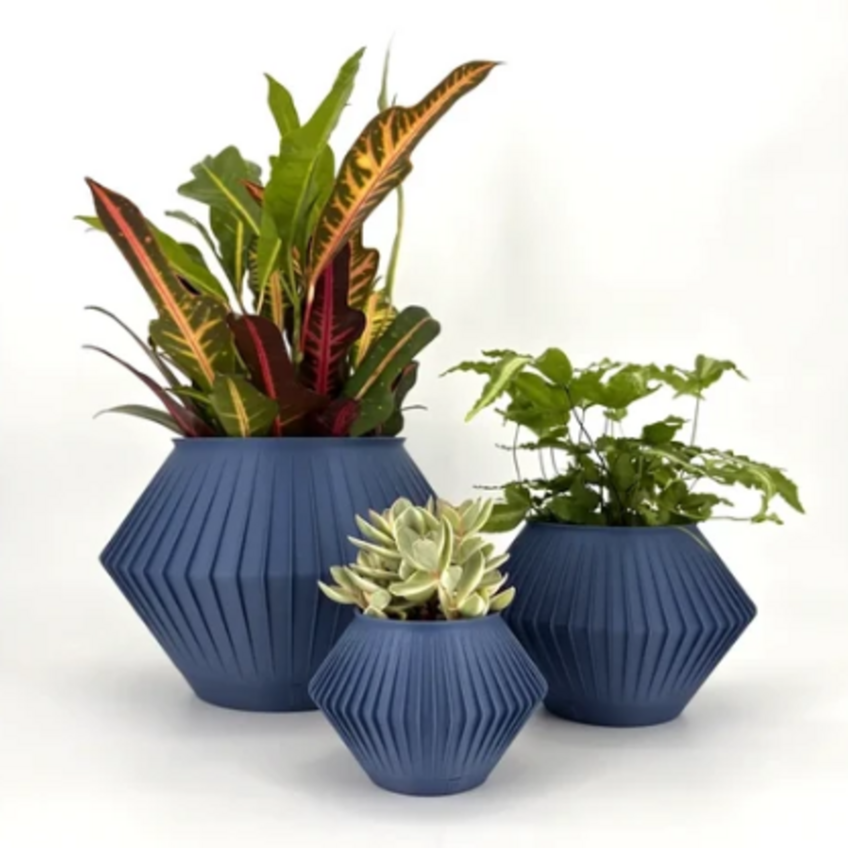 Sonnihaus – Pot Chunji