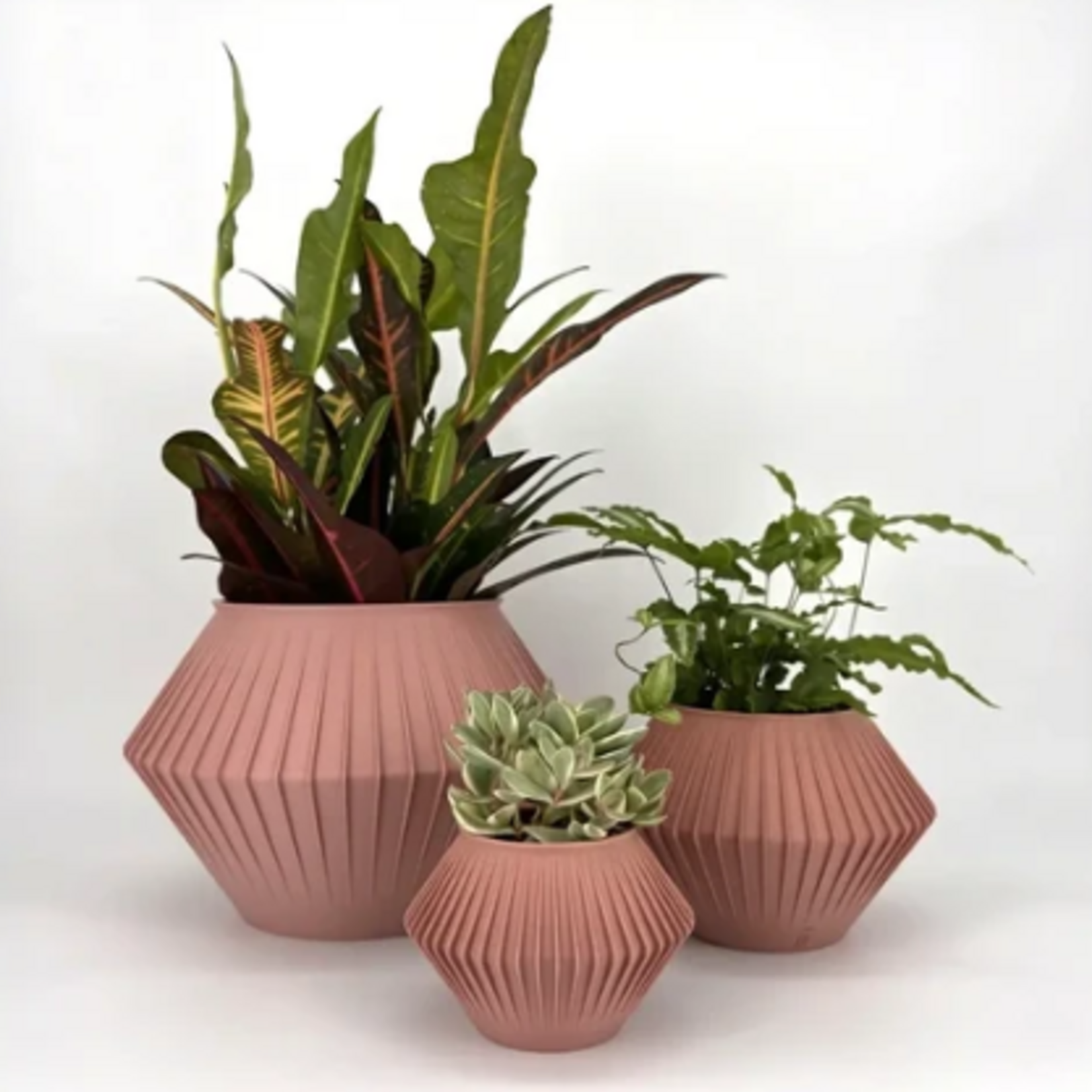 Sonnihaus – Pot Chunji