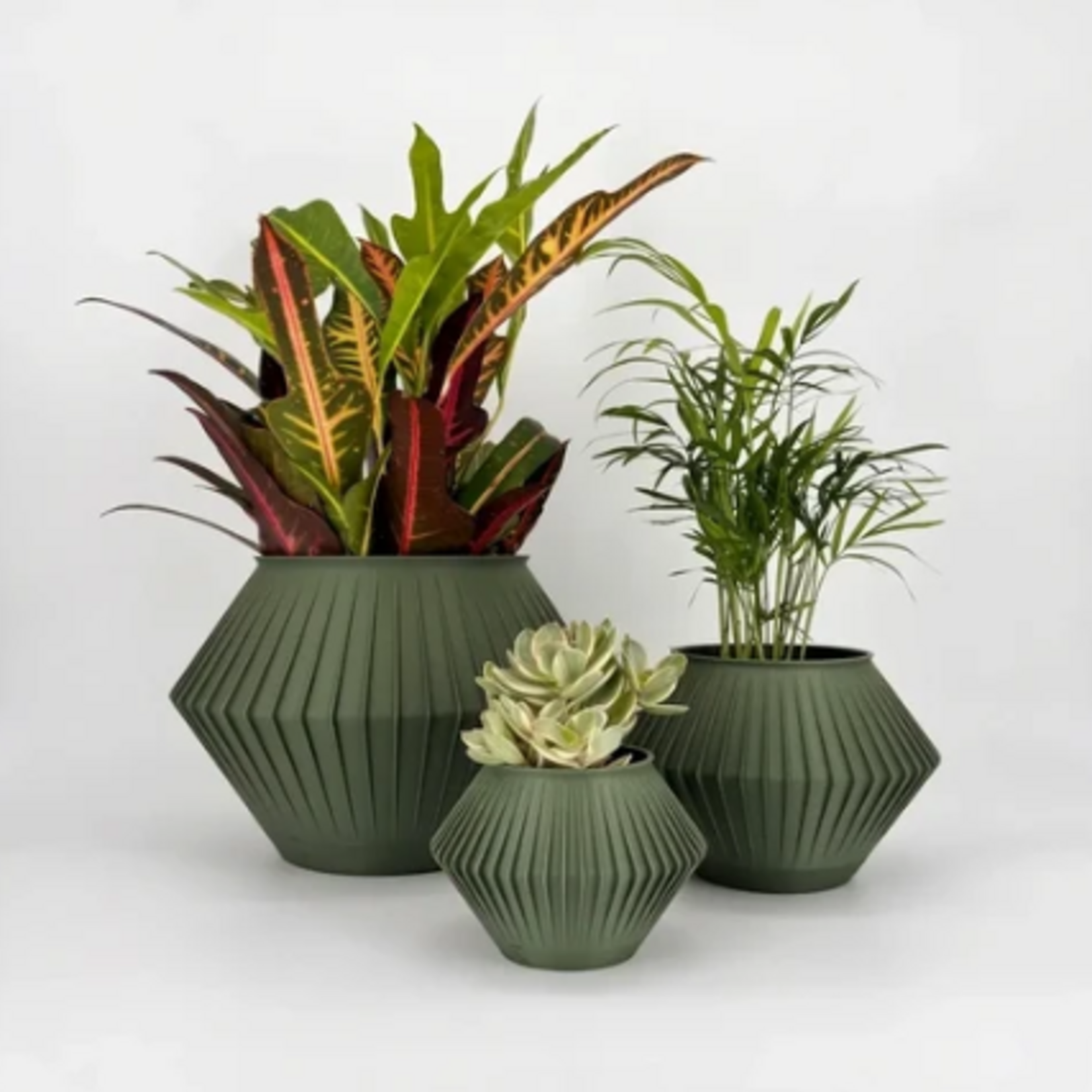 Sonnihaus – Pot Chunji
