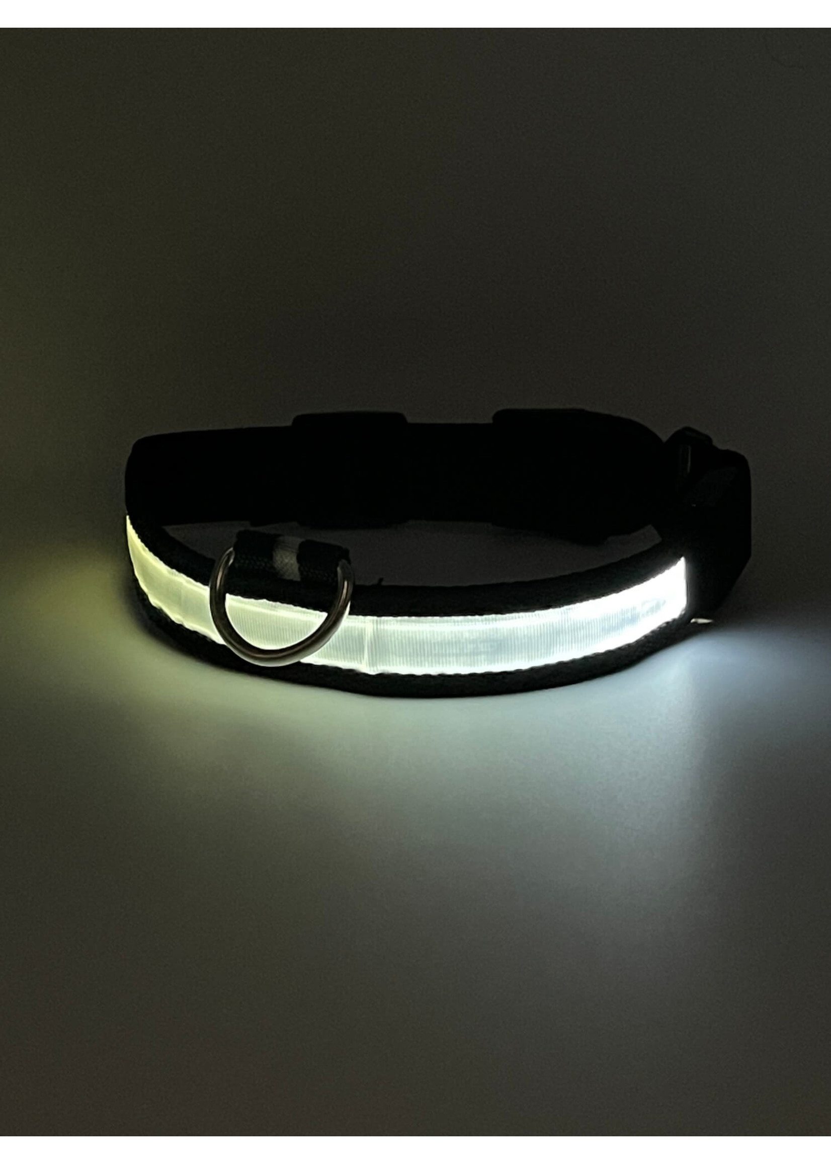 LED Adjustable Dog Collar