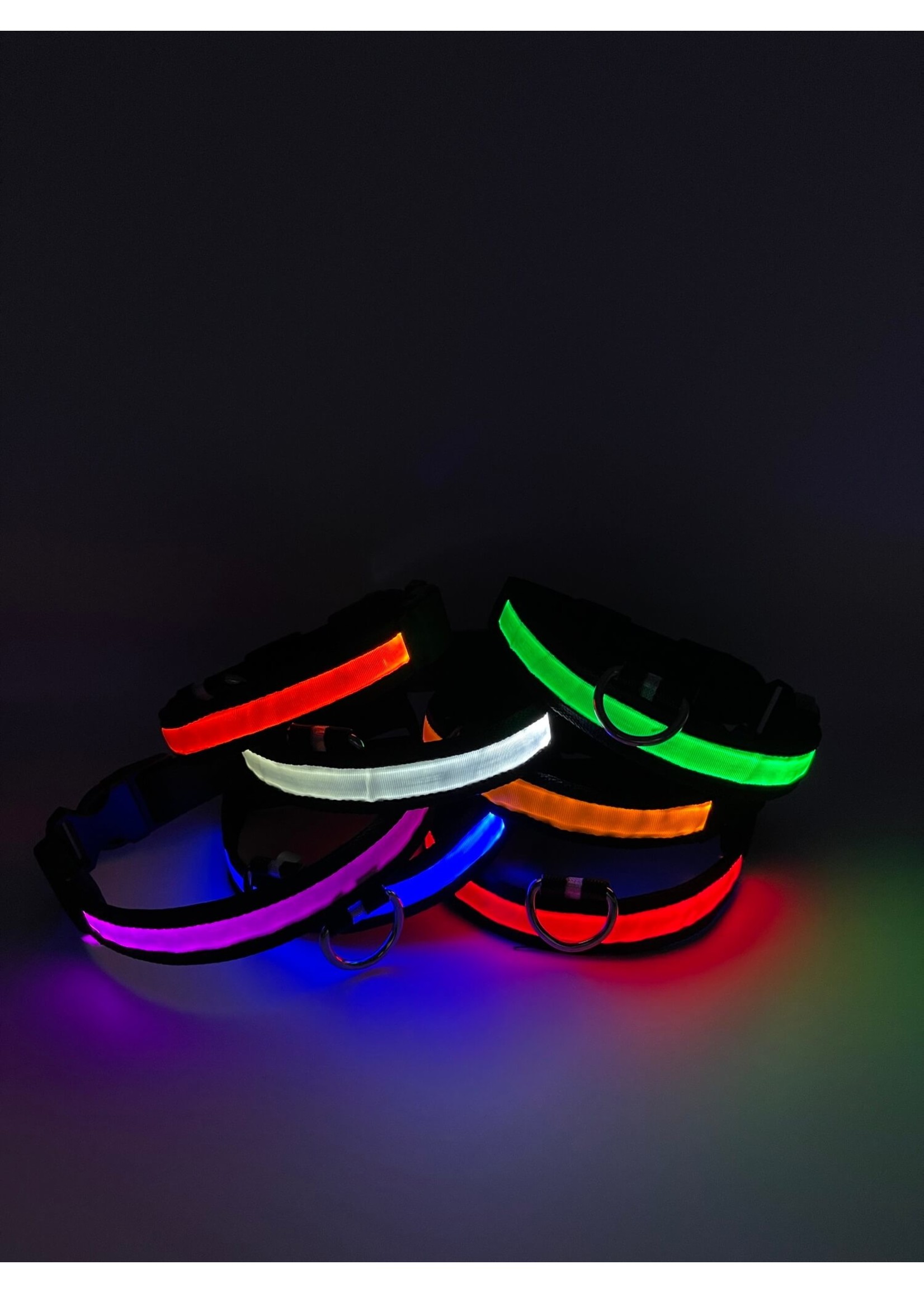 LED Adjustable Dog Collar